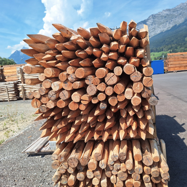 Akazienpfähle (Robinie) – naturbelassen, geschält & gespitzt – Bild 4