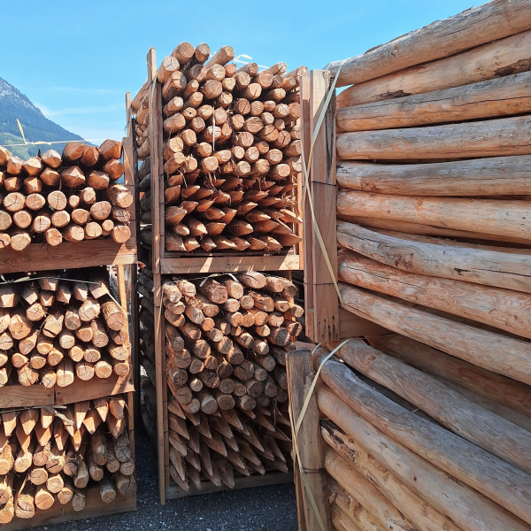 Akazienpfähle (Robinie) – naturbelassen, geschält & gespitzt – Bild 6